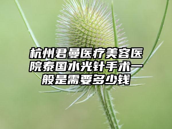 杭州君曼医疗美容医院泰国水光针手术一般是需要多少钱