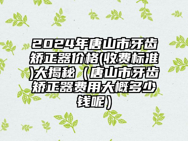 2024年唐山市牙齿矫正器价格(收费标准)大揭秘（唐山市牙齿矫正器费用大概多少钱呢）