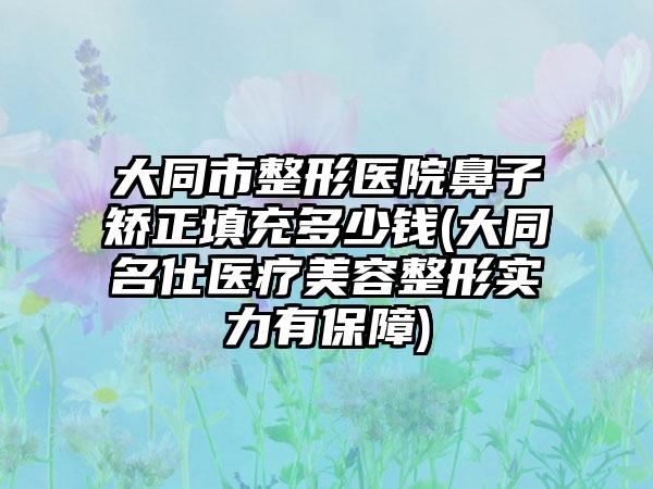 大同市整形医院鼻子矫正填充多少钱(大同名仕医疗美容整形实力有保障)