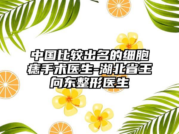 中国比较出名的细胞痣手术医生-湖北省王向东整形医生