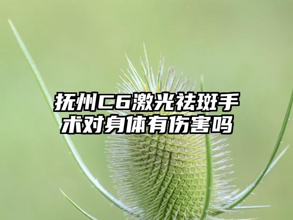 抚州C6激光祛斑手术对身体有伤害吗