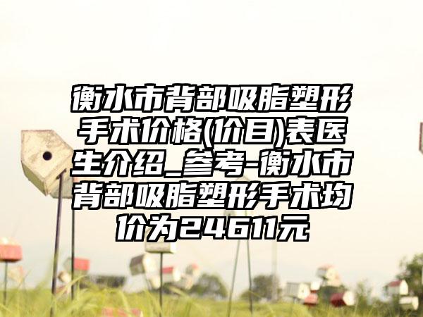 衡水市背部吸脂塑形手术价格(价目)表医生介绍_参考-衡水市背部吸脂塑形手术均价为24611元