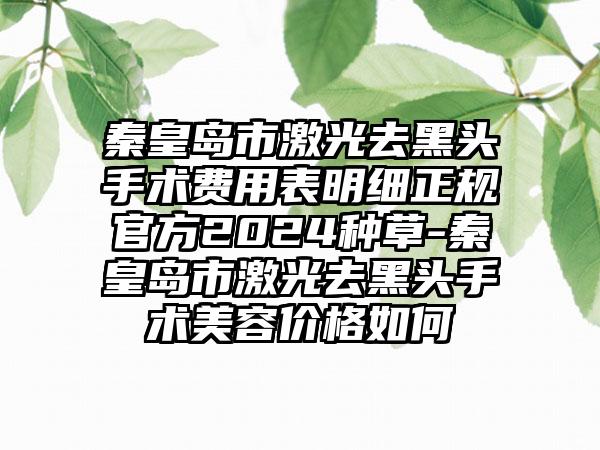 秦皇岛市激光去黑头手术费用表明细正规官方2024种草-秦皇岛市激光去黑头手术美容价格如何