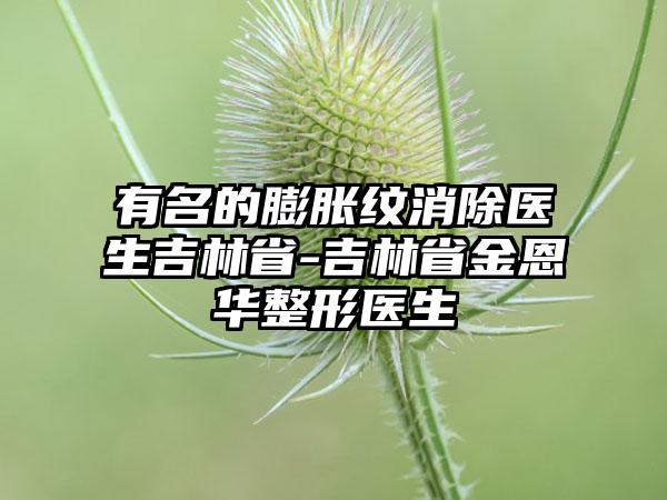 有名的膨胀纹消除医生吉林省-吉林省金恩华整形医生