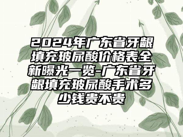 2024年广东省牙龈填充玻尿酸价格表全新曝光一览-广东省牙龈填充玻尿酸手术多少钱贵不贵