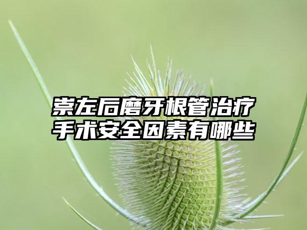 崇左后磨牙根管治疗手术安全因素有哪些