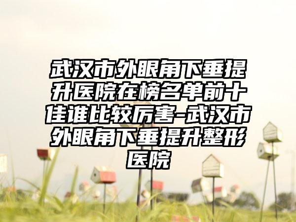 武汉市外眼角下垂提升医院在榜名单前十佳谁比较厉害-武汉市外眼角下垂提升整形医院