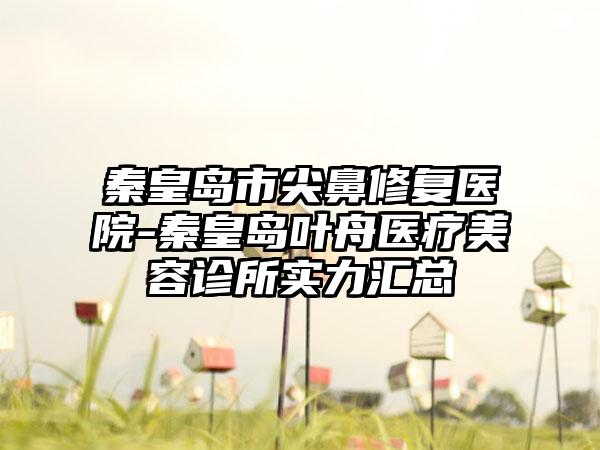 秦皇岛市尖鼻修复医院-秦皇岛叶舟医疗美容诊所实力汇总