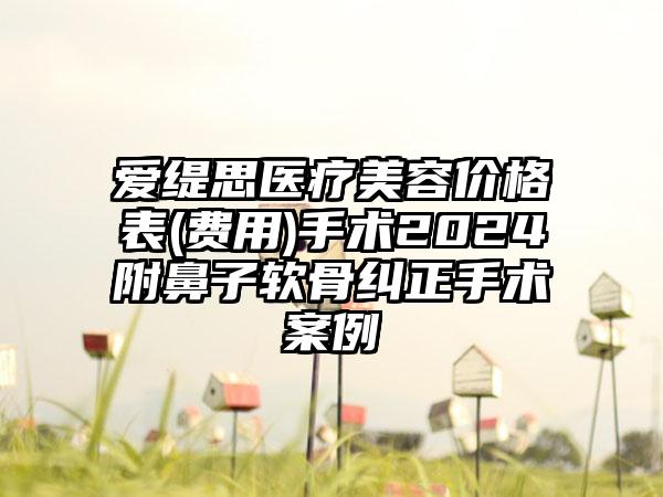 爱缇思医疗美容价格表(费用)手术2024附鼻子软骨纠正手术案例