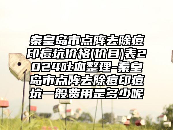 秦皇岛市点阵去除痘印痘坑价格(价目)表2024吐血整理-秦皇岛市点阵去除痘印痘坑一般费用是多少呢