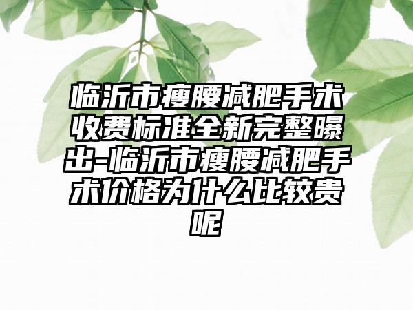 临沂市瘦腰减肥手术收费标准全新完整曝出-临沂市瘦腰减肥手术价格为什么比较贵呢