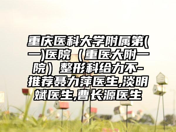 重庆医科大学附属第(一)医院（重医大附一院）整形科给力不-推荐聂力萍医生,淡明斌医生,曹长源医生