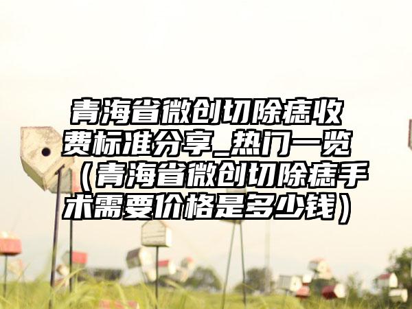 青海省微创切除痣收费标准分享_热门一览（青海省微创切除痣手术需要价格是多少钱）